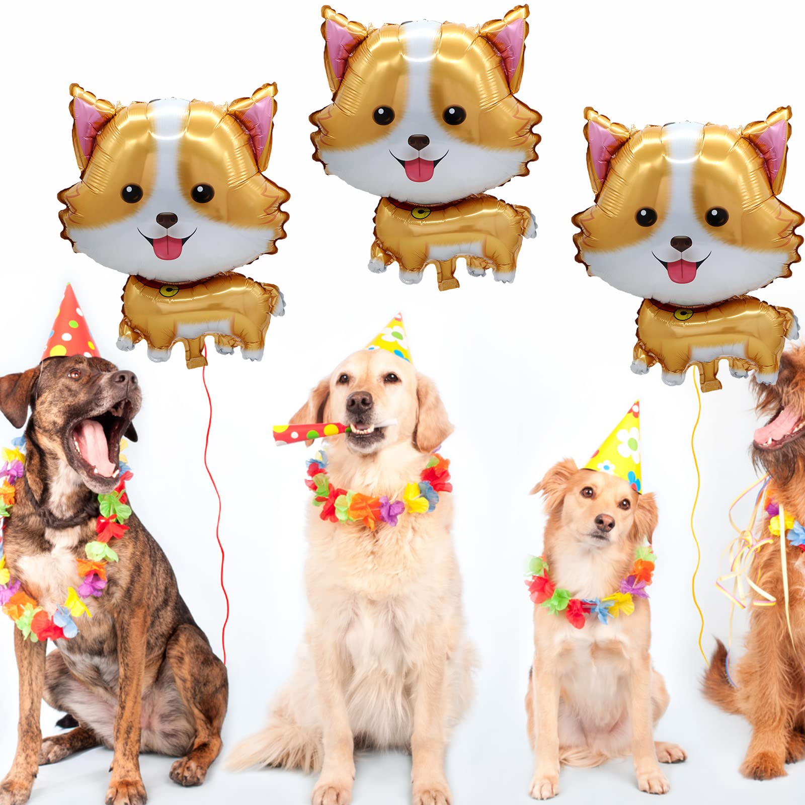 5Pcs Pet Dog Balloons Cute Cor - Let'S Party Event Supply recension och pris