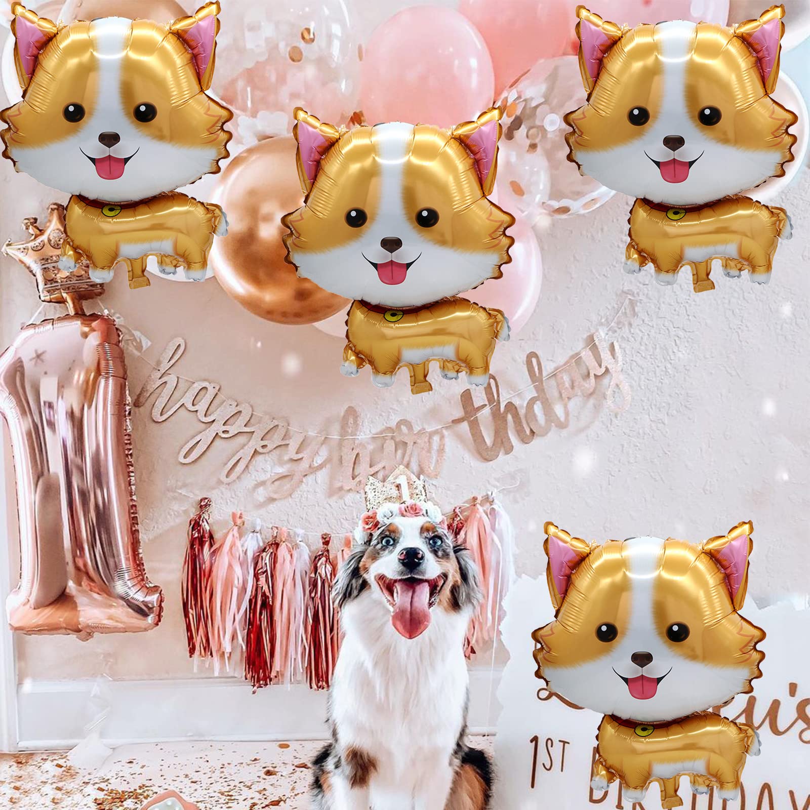 5Pcs Pet Dog Balloons Cute Cor - Let'S Party Event Supply recension och pris