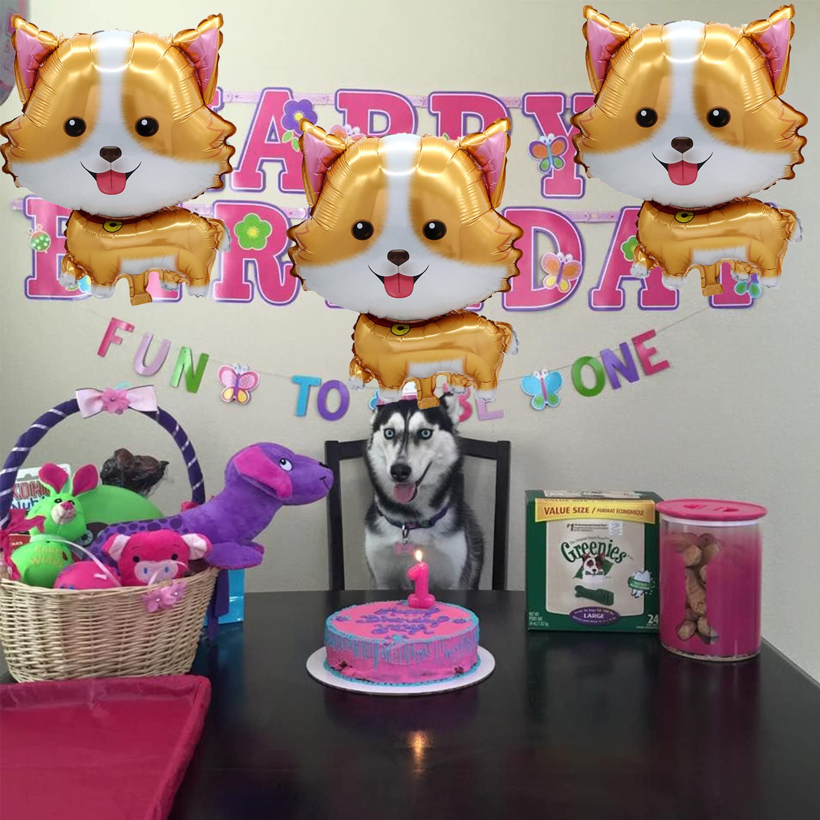 5Pcs Pet Dog Balloons Cute Cor - Let'S Party Event Supply recension och pris